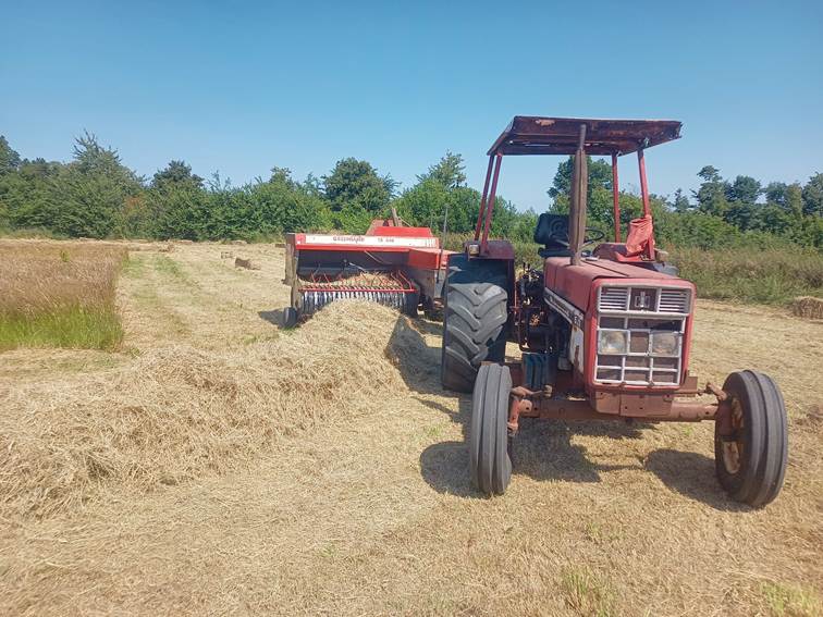 Afbeelding met buitenshuis, wiel, hemel, Landbouwwerktuig

Door AI gegenereerde inhoud is mogelijk onjuist.