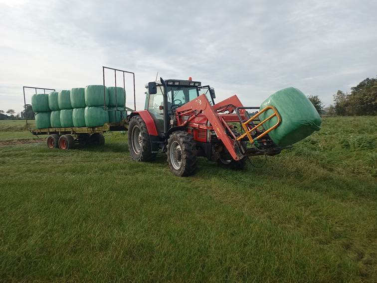 Afbeelding met gras, hemel, buitenshuis, tractor

Door AI gegenereerde inhoud is mogelijk onjuist.
